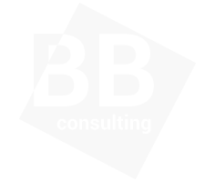 Consulting BB Srl